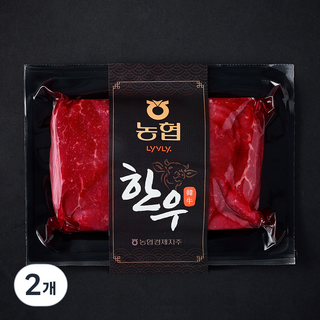 농협 한우 1등급 육전용 (냉장), 2개, 300g