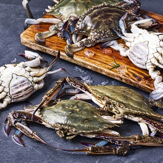 피시원 신진도 산지직송 알이 꽉찬 알배기 봄 암꽃게, 2kg(6~10미), 1박스