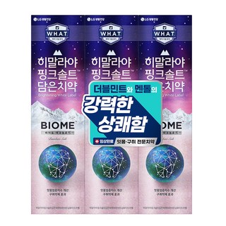 히말라야핑크솔트 담은 바이옴 구취억제 치약, 100g, 3개
