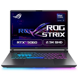 에이수스 2025 ROG 스트릭스 G16 코어Ultra9 지포스 RTX 5060, Eclipse Gray, 512GB, 16GB, WIN11 Home, G615LM-S5139W