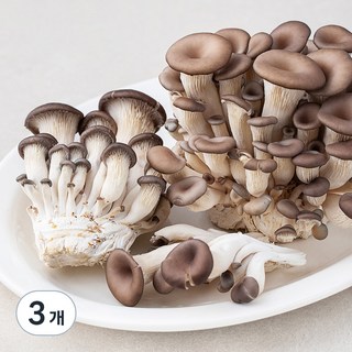 친환경인증 참타리버섯, 300g, 3팩