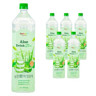 탐사 농장()애 알로에