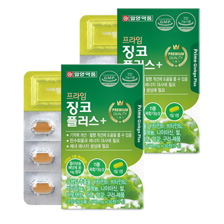 일양약품 프라임 징코 플러스, 30정, 2개 대표 이미지 - 뇌영양제 추천