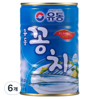 유동 꽁치 통조림, 400g, 6개
