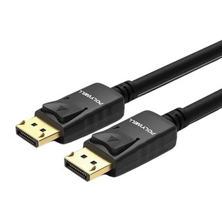 POLYWELL 寶利威爾 DP1.2 傳輸線, 1m, PW15-W46-D010, 1條