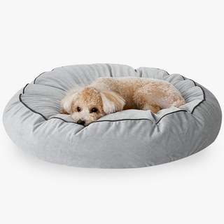 데코원 원스 극세사 강아지 방석 사용 모습