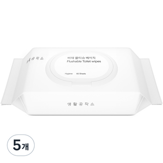 생활공작소 비데 물티슈 베이직 캡형, 60매, 5개