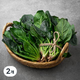 국내산 친환경 시금치, 500g, 2개