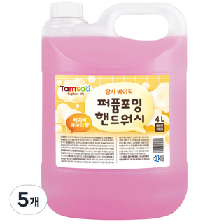 탐사베이직 퍼퓸포밍 핸드워시, 4L, 5개