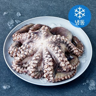 비비수산 깨끗하게 손질한 문어 한마리 (냉동), 1개, 1kg
