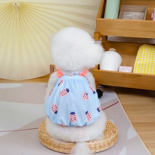 PASTEL PET 寵物瓢蟲南瓜連身裙, 藍色, 1個