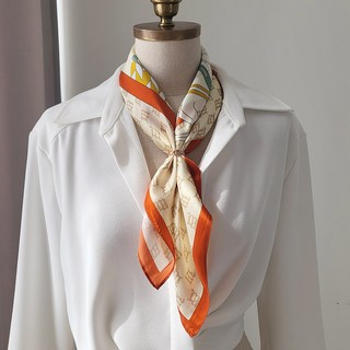 VARVISU Silk 100小Meradi