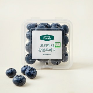 유기농 인증 프리미엄 왕블루베리, 100g, 1개
