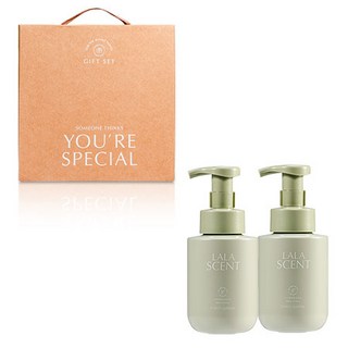 라라앤모어 핸드워시 답례품 300ml 2p + 기프트 상자 선물 세트, 포레스트가든, 1개