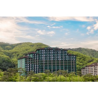 [홍천군] 소노캄 비발디파크