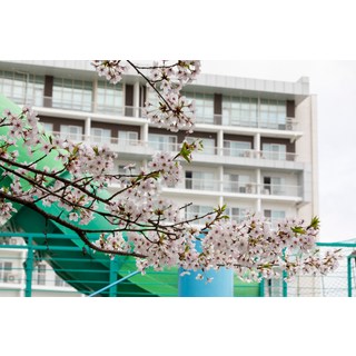 [예산군] 스플라스 리솜(덕산)