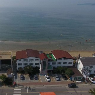 [태안군] 마로니에펜션