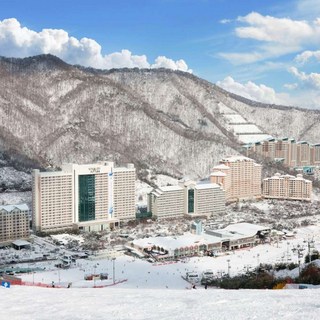 [홍천군] 비발디 파크