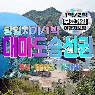 부산대마도배편 승선권 정보