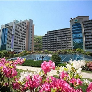 [홍천] 소노벨 비발디파크 or 소노펠리체