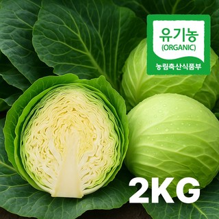 루센팜 국내산 프리미엄 유기농 신선 양배추 저칼로리 식단관리, 1박스, 2kg