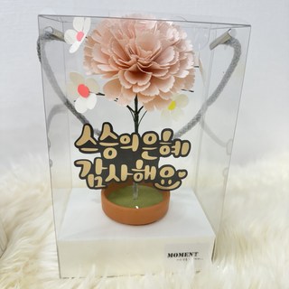 모먼트 _ 어버이날 스승의날 카네이션 화분 용돈 기프트카드, 핑크, 1개