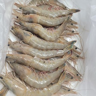 국내 자연산 대하2kg(75마리내외), 1개, 2kg