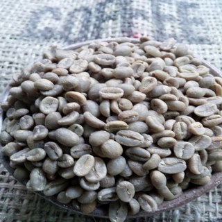 생두 케냐aa Plus 고급커피 결점두 핸드제거 1kg, 1개