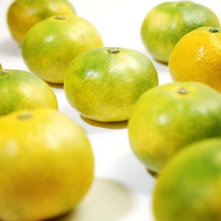 국내산 제주 노지 감귤 중과 소과 2-10kg, 제주 감귤 중과(M)10kg, 1개