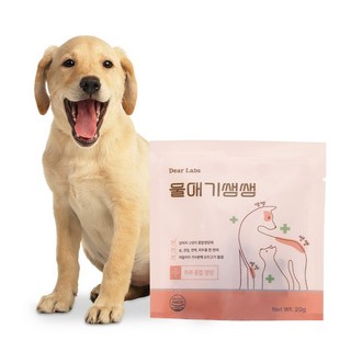 디어랩스 울애기쌩쌩 종합영양제 샘플팩 20g 1팩, 1개