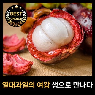 과즙주의보 과일의 여왕 생 망고스틴, 1박스, 500g