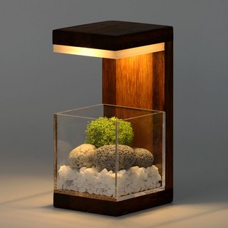 모던포인트 원목 플랜테리어 LED 무드등