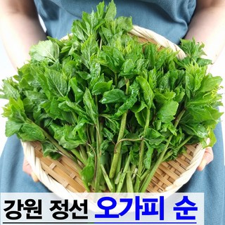 햇살농원 강원 정선 오가피순
