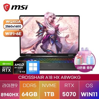 2. MSI 크로스헤..