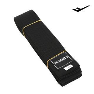 프로스펙스 검띠