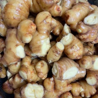 향긋하고 단단한 생강 1KG 국산 완주 봉동 세척생강 흙생강 생강청 햇생강 생강차 생강가루 국내산 깐생강 특품 명산품 굵은 약재, 봉동 세척생강 1kg, 1개