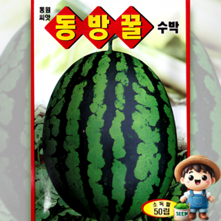 동방꿀수박 50립 수박 단타원형 고당도 조생종 씨앗 종자 동원 모든, 1개