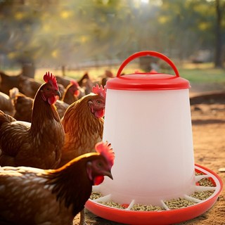 닭 모이통 1.5kg 병아리 사료통 반자동 급식 먹이통 메추리 조류 급식기, 1개, 단색-1.5kg