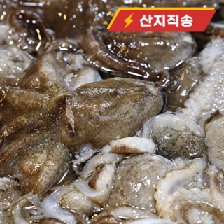 통관자 주꾸미명가 X3팩