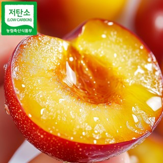 [만족도97%] 산지직송 천도 신선복숭아 초고당도, 1박스, 특품 1kg(로얄과)