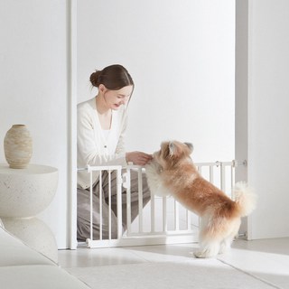세이펫 42cm 안전문, 42cm안전문-소형, 1개, ,