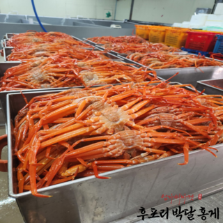 후포리 박달홍게 4kg 맛보장 특대 사이즈, 1박스