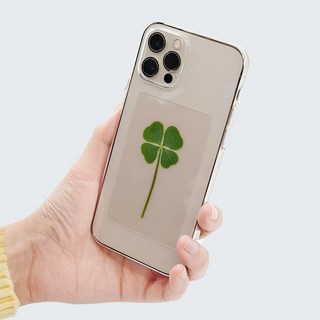 푸드클로버 네잎클로버 코팅 카드 투명 1개 봉투미포함 상품 이미지