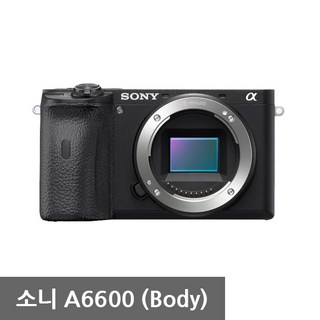 소니 A6600 카메라
