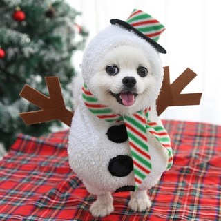 강아지 산타복