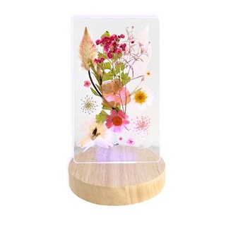 (TD) (취미키트) LED 압화 무드등 만들기, 레인보우, 1개