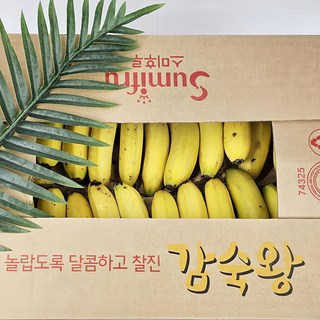 쥬스용 낱발 고당도 바나나