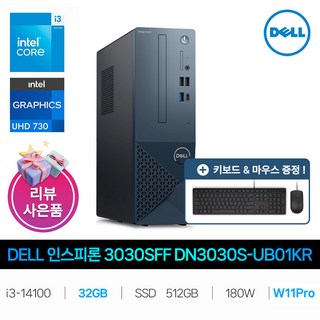 DELL DN3030S-UB01KR 사용 모습