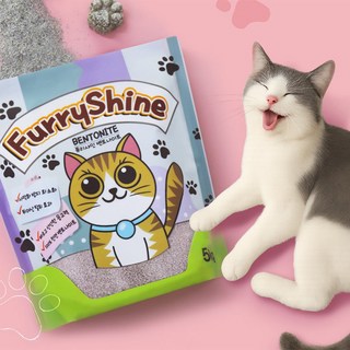 응고력 먼지없는 무향 고양이 모래 벤토나이트 10L 퓨리샤인, 5kg, 2개