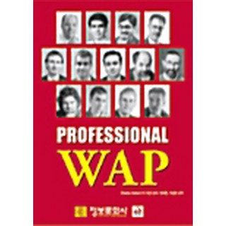 NSB9788976278029 새책-스테이책터 [Professional WAP] -정보문화사-Charles Arehart 외 지음 방대인 옮김-, Professional WAP